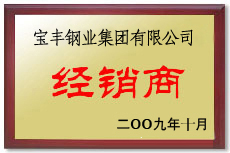 宁强宝丰经销商